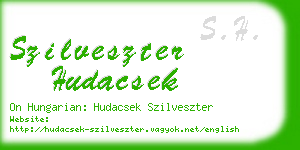 szilveszter hudacsek business card